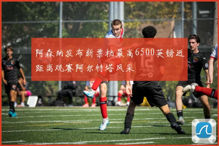 阿森纳发布新票档最高6500英镑近距离观赛阿尔特塔风采
