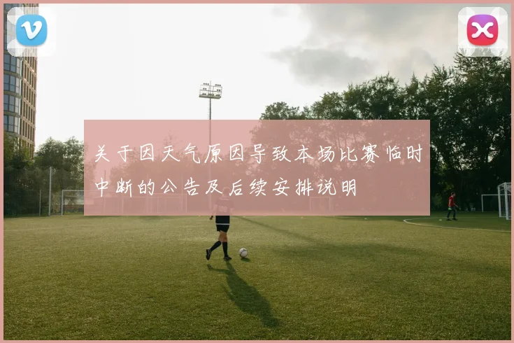 关于因天气原因导致本场比赛临时中断的公告及后续安排说明